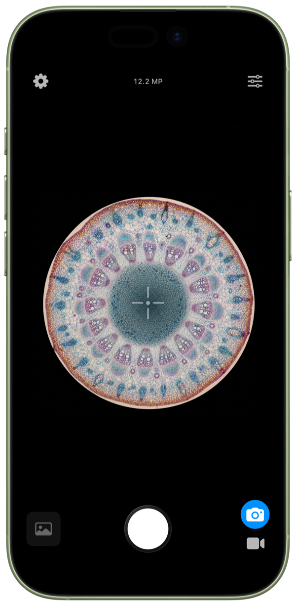 Microscope App live viewer showing a botanical cross-section inside an iPhone frame
